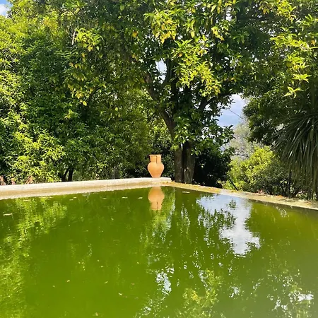 Casa Da Galheira Vilela (Braga)